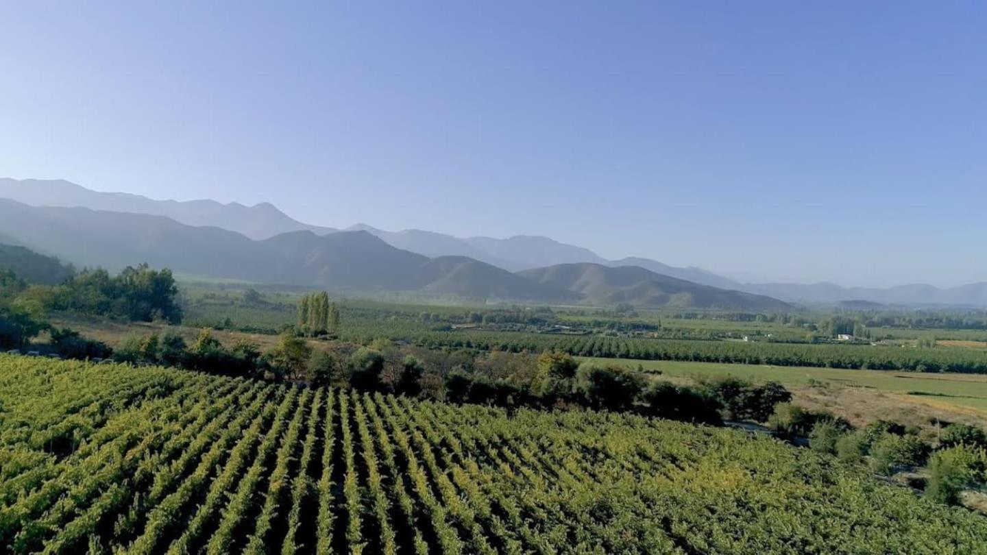Vina Lof - Maipo Valley Bed & Breakfast In Winery Paine Exteriér fotografie