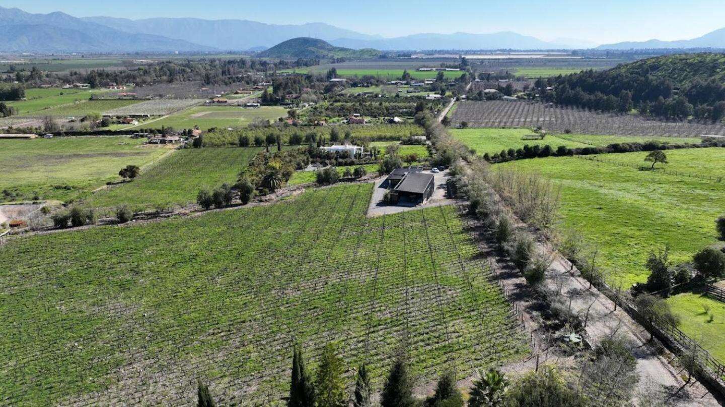 Vina Lof - Maipo Valley Bed & Breakfast In Winery Paine Exteriér fotografie