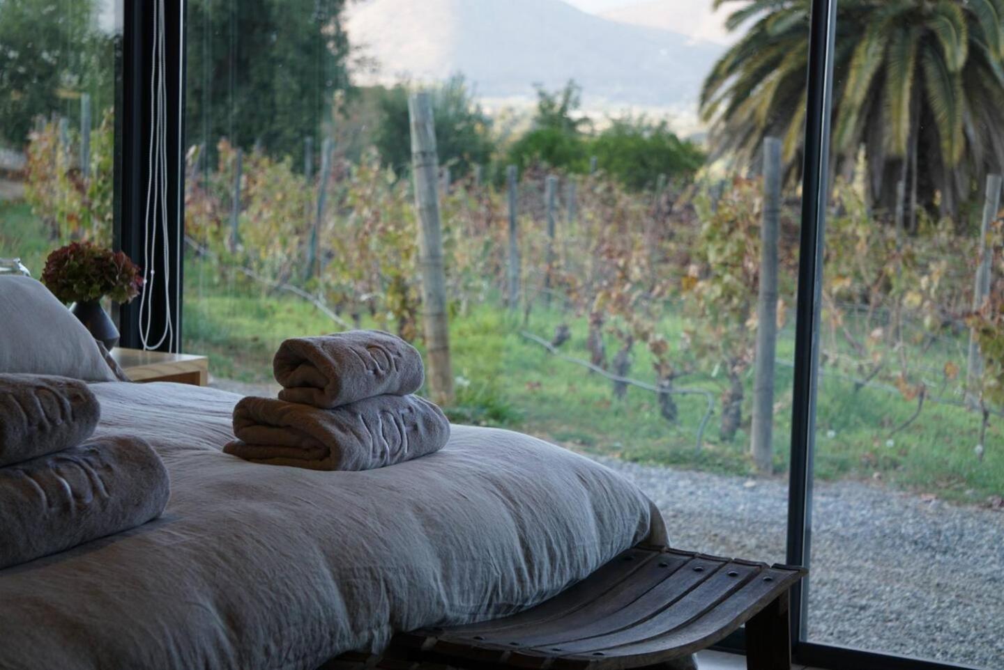 Vina Lof - Maipo Valley Bed & Breakfast In Winery Paine Exteriér fotografie