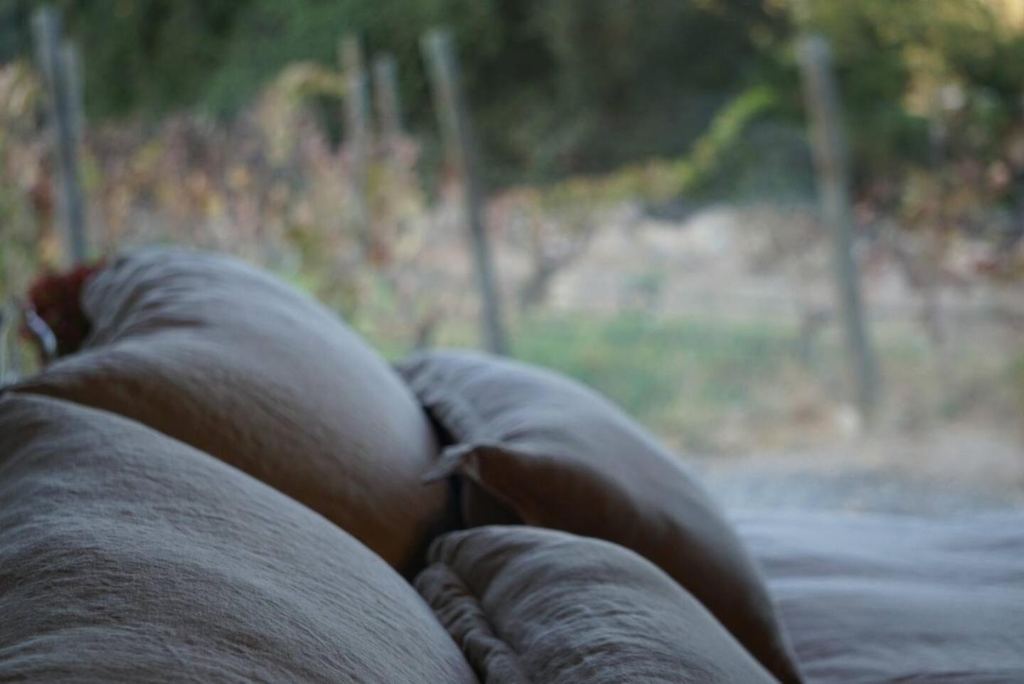 Vina Lof - Maipo Valley Bed & Breakfast In Winery Paine Exteriér fotografie