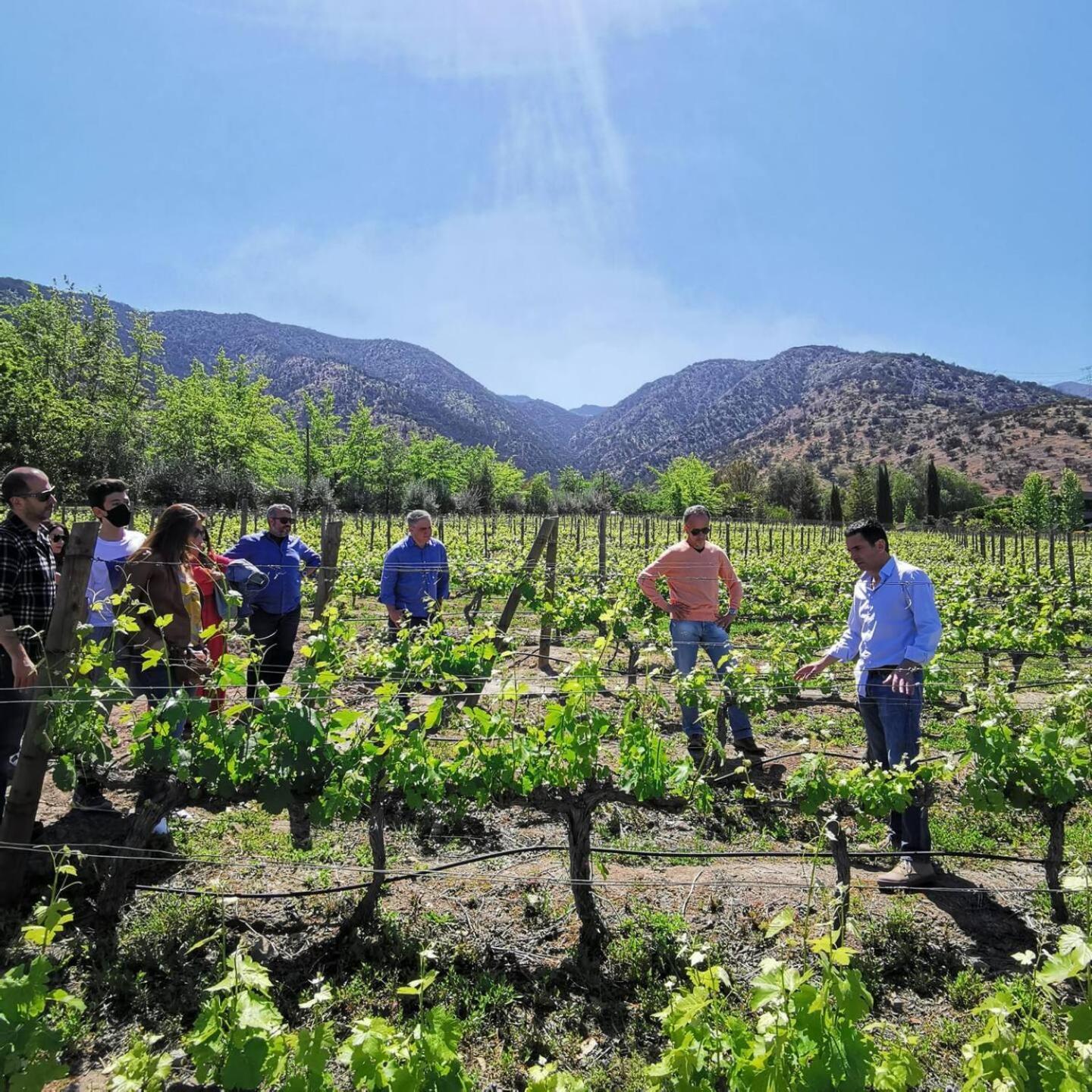 Vina Lof - Maipo Valley Bed & Breakfast In Winery Paine Exteriér fotografie