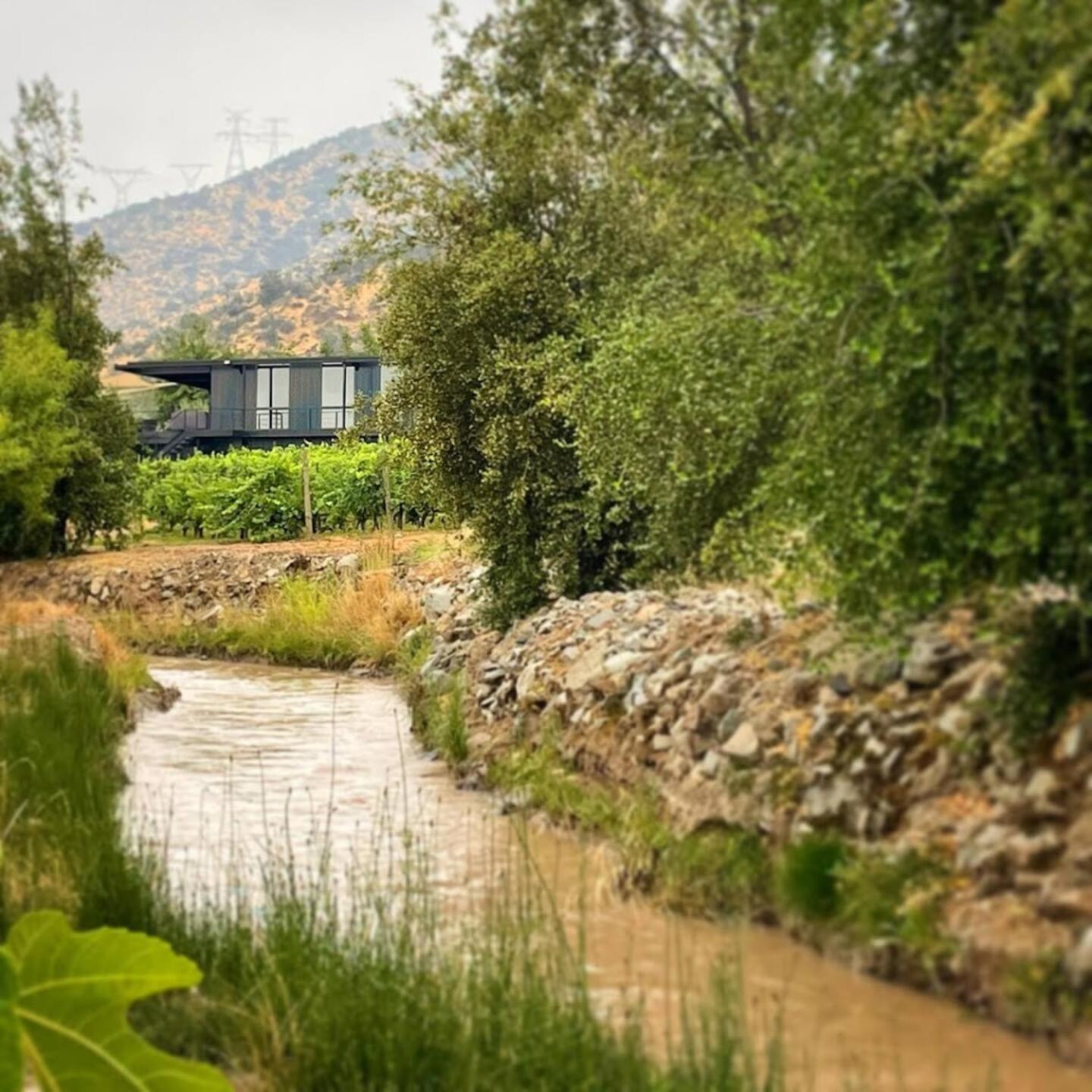 Vina Lof - Maipo Valley Bed & Breakfast In Winery Paine Exteriér fotografie