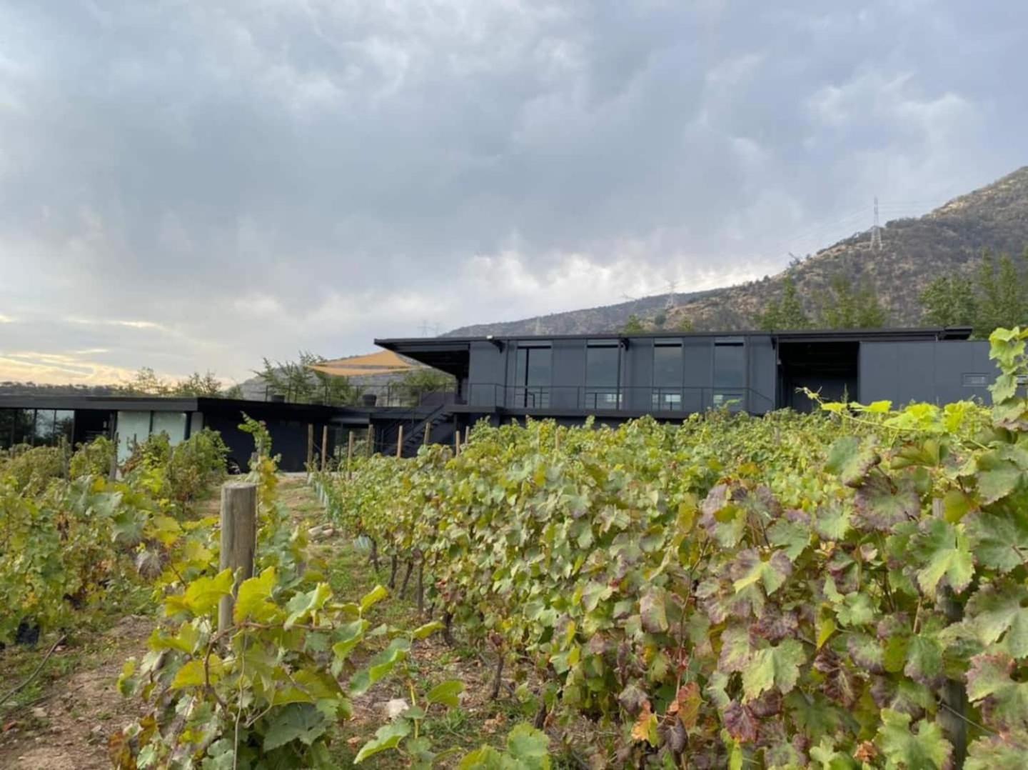 Vina Lof - Maipo Valley Bed & Breakfast In Winery Paine Exteriér fotografie