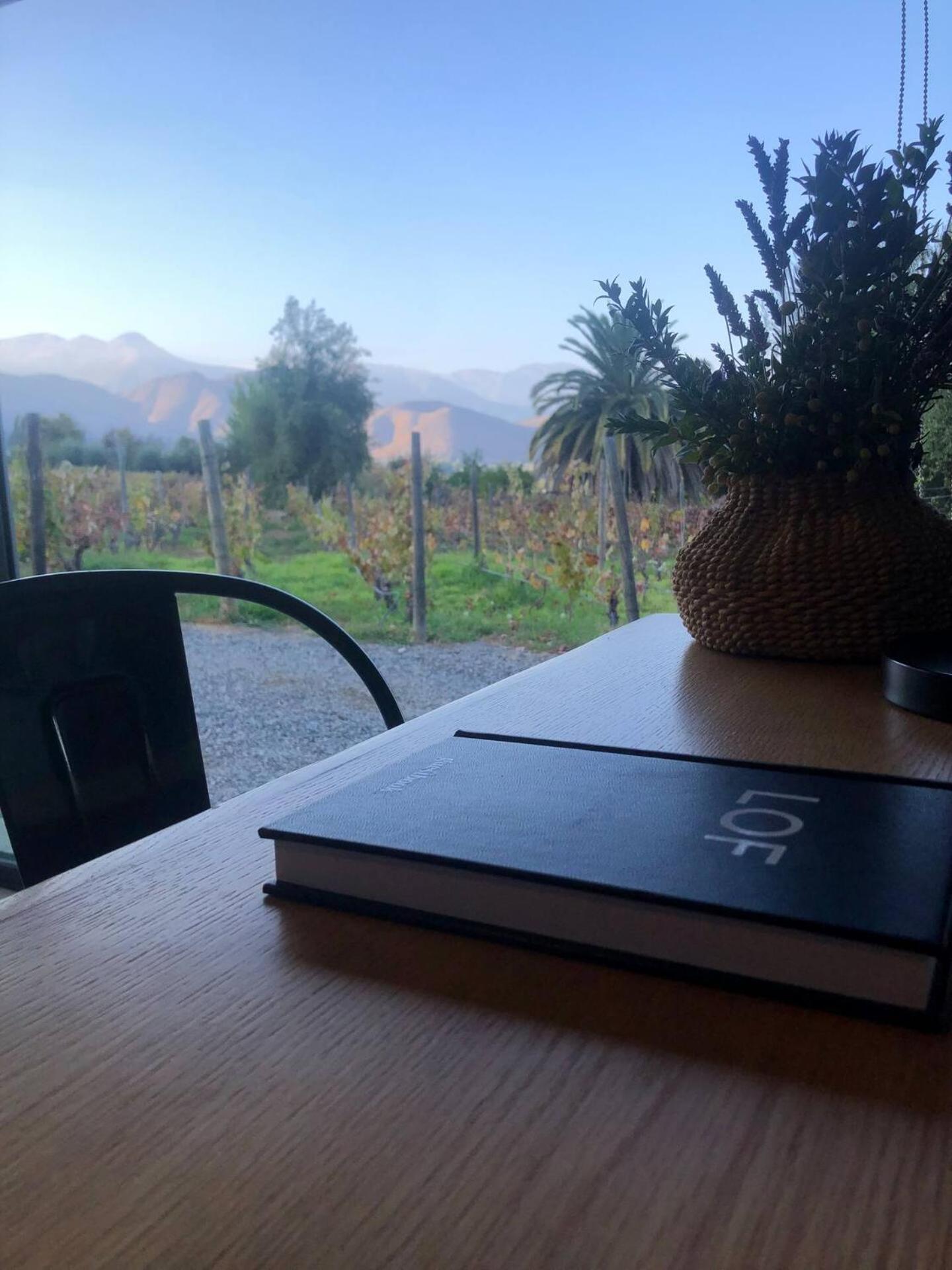 Vina Lof - Maipo Valley Bed & Breakfast In Winery Paine Exteriér fotografie