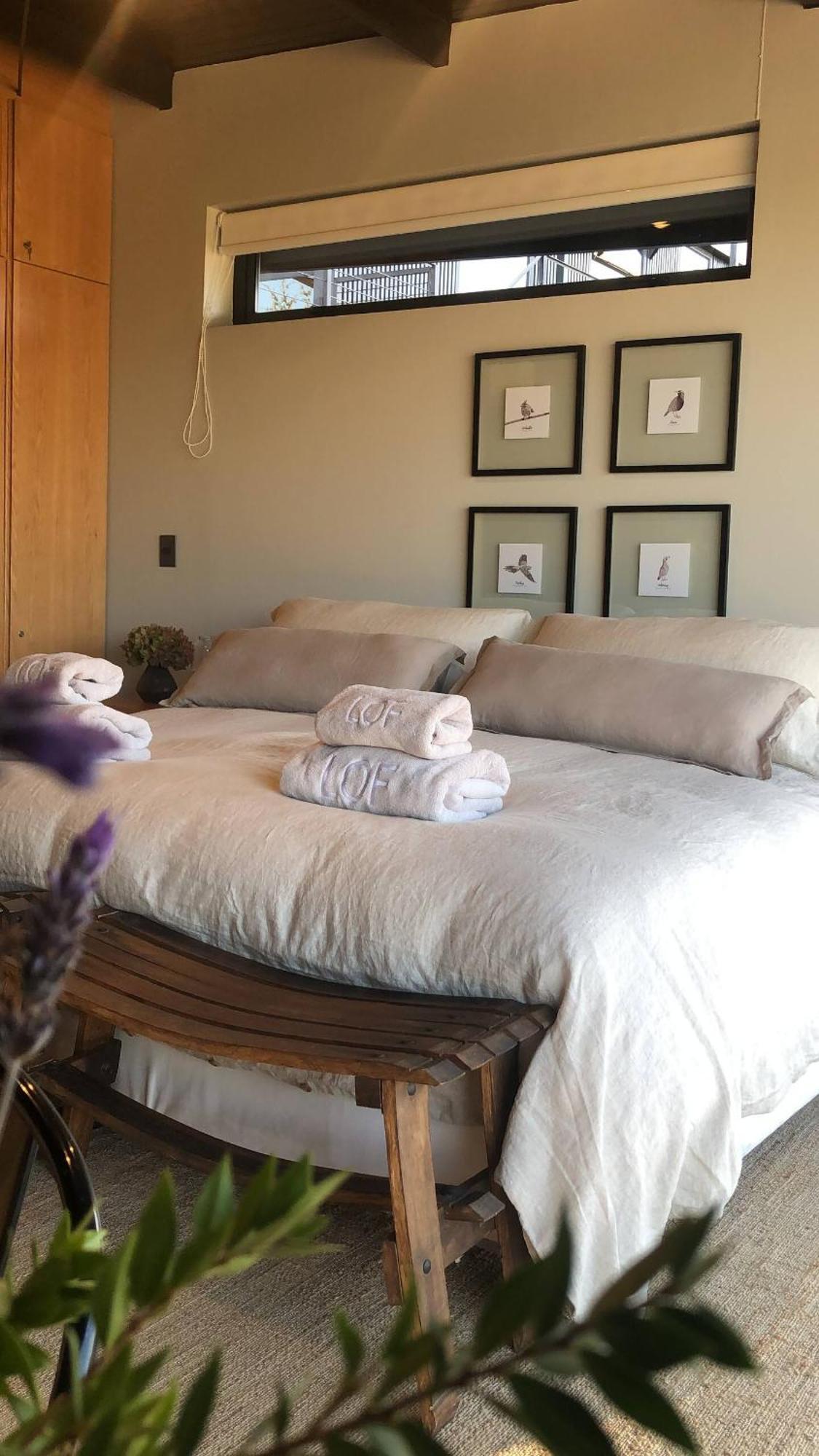 Vina Lof - Maipo Valley Bed & Breakfast In Winery Paine Exteriér fotografie