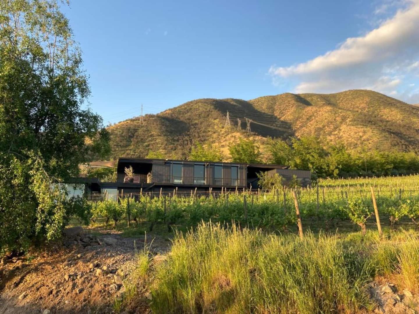 Vina Lof - Maipo Valley Bed & Breakfast In Winery Paine Exteriér fotografie